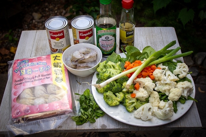wontons in package, broccoli, cauliflower, carrots, green onions, spinach, basil, shrimp, chicken broth, soy sauce, sesame oil