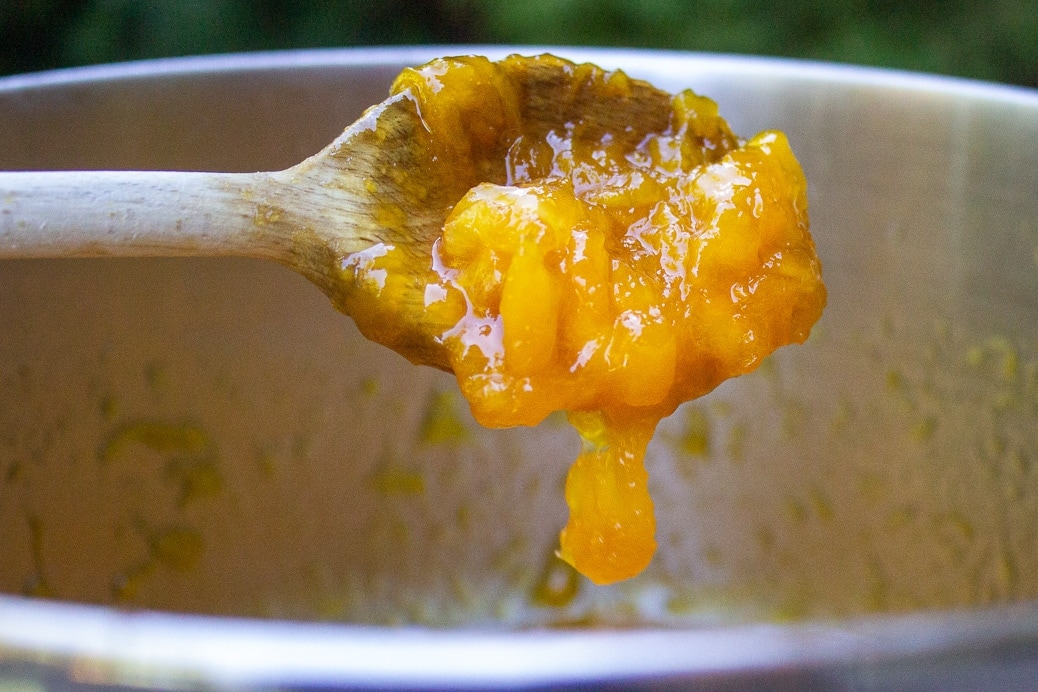 spoonful of peach marmalade dripping over pot
