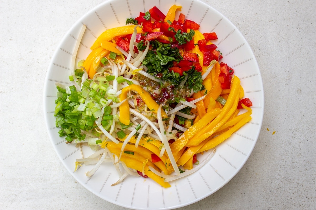 all mango salad ingredients in bowl