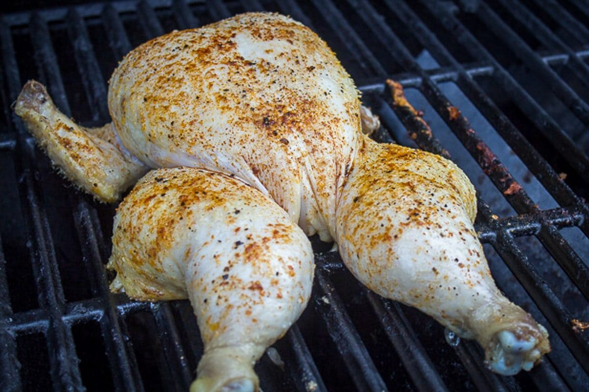 seasoned chicken on grill