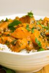 squash curry over rice in bowl p