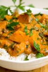 squash curry over rice in bowl p2