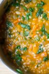 vegetable bean and barley soup in a pot p4