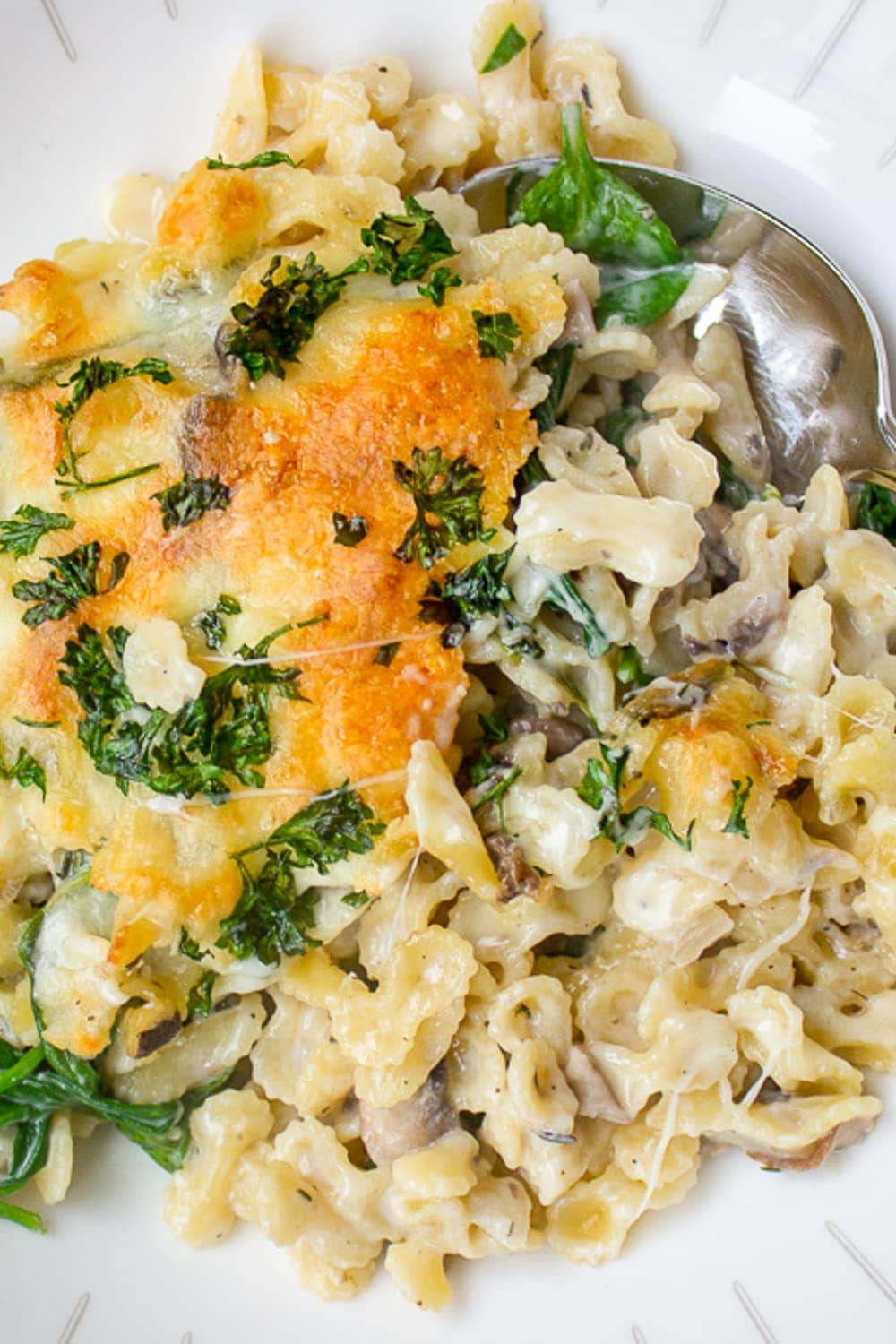 baked Mushroom Spinach Pasta in bowl p3