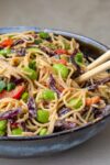 Peanut Noodles and Vegetables in bowl with chopsticks p