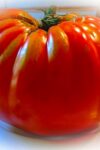 large heirloom tomato