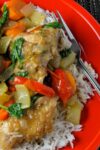 Chicken and Vegetables over rice on a red plate p