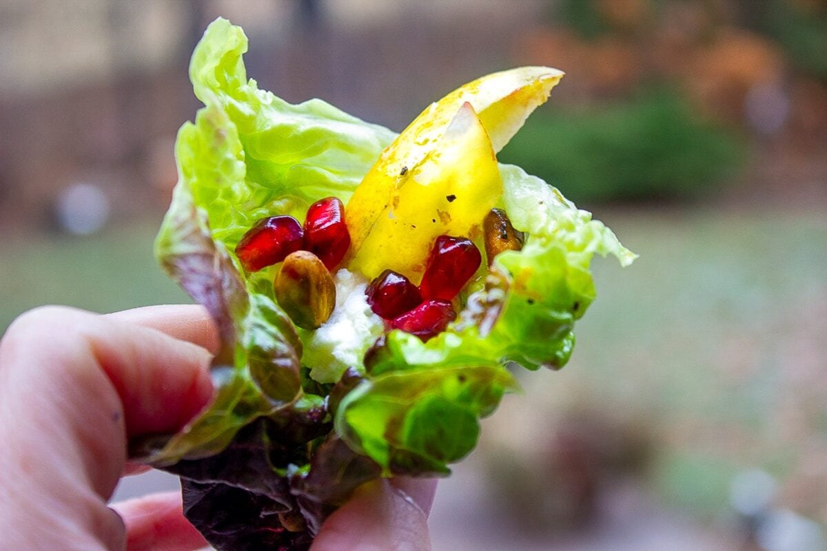 lettuce cup with winter salad