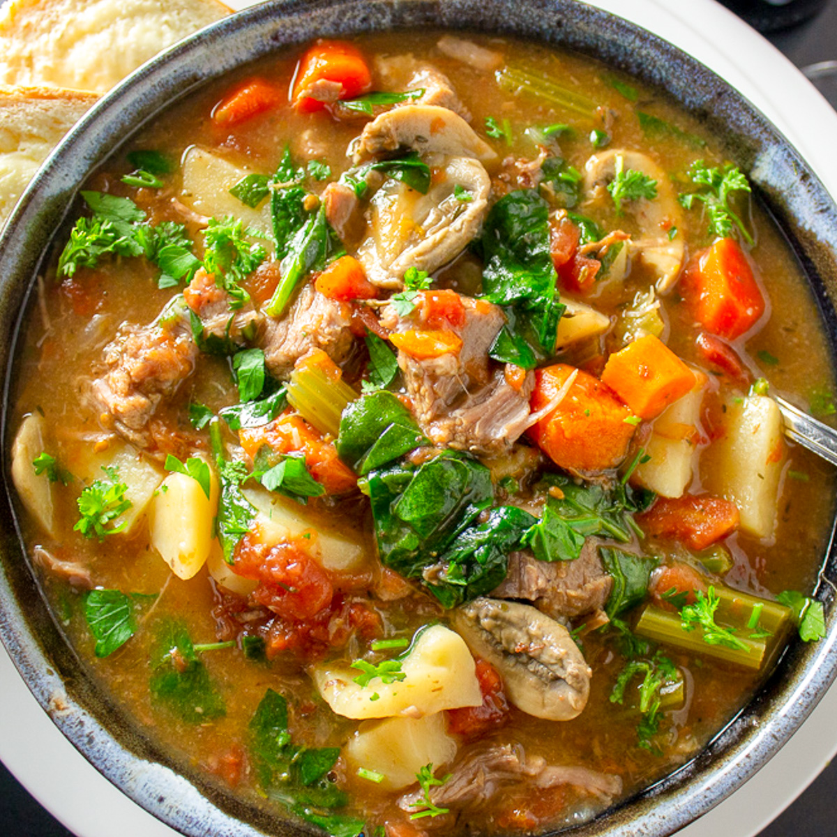 bowl of veal stew