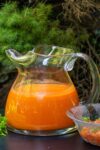 glass pitcher of gazpacho and bowl of vegetable pulp p