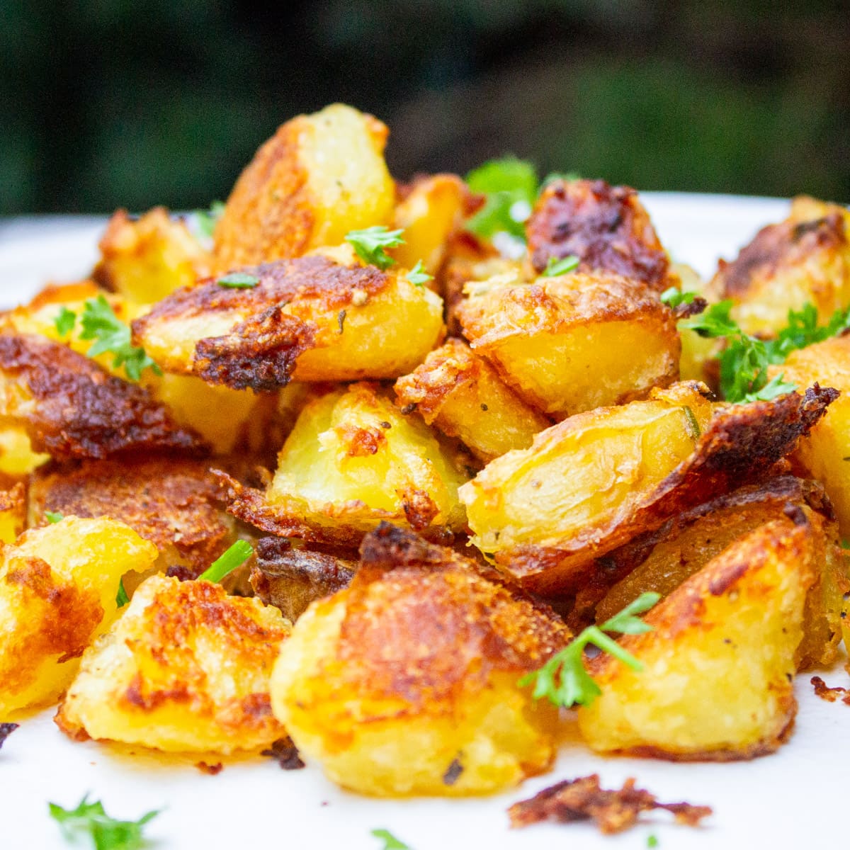 roasted potatoes with parsley garnish on plate.