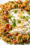 turkey surrounded by quinoa stuffing on plate p
