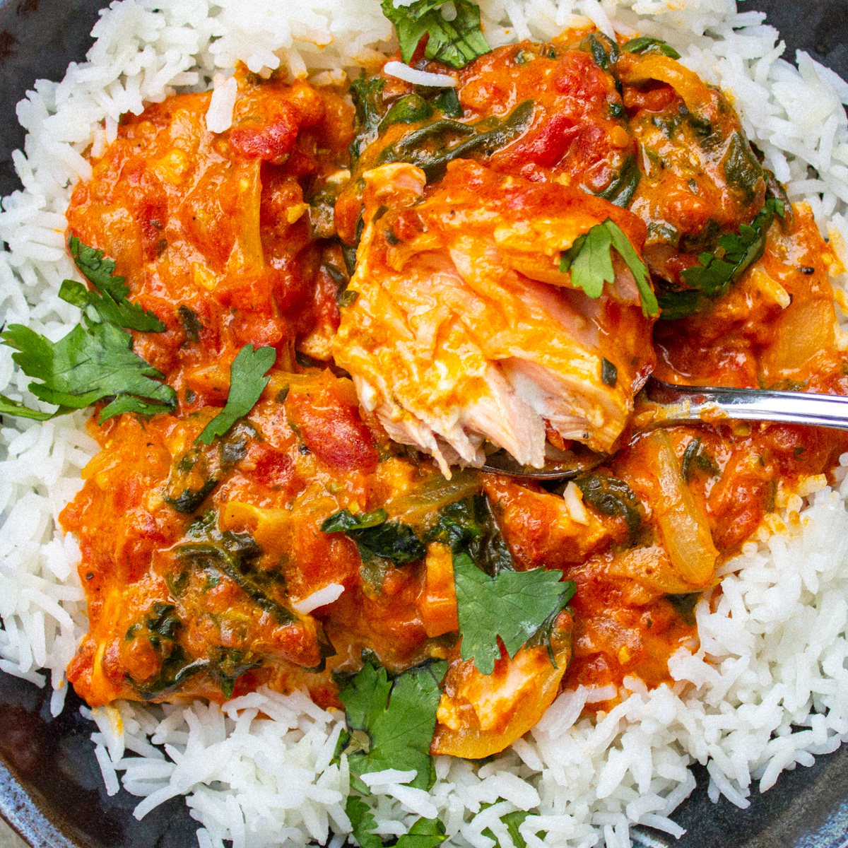 Coconut Curry Salmon (30 Minutes)