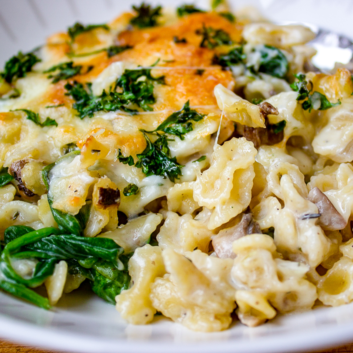 mushroom spinach pasta in a bowl f