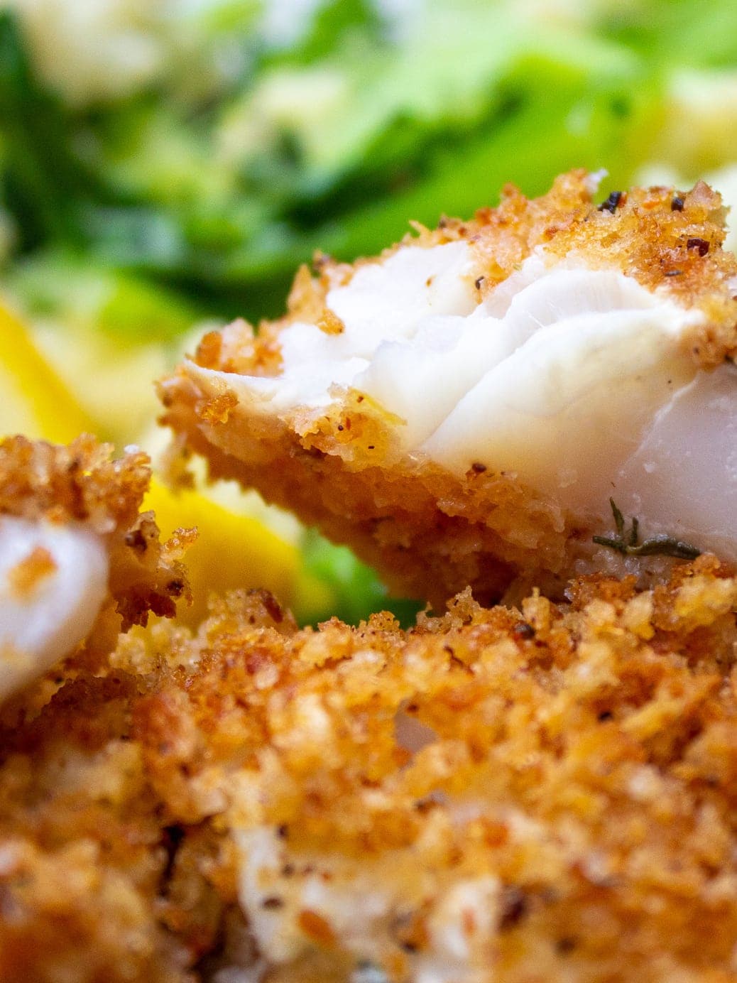 Crispy Baked Walleye Recipe