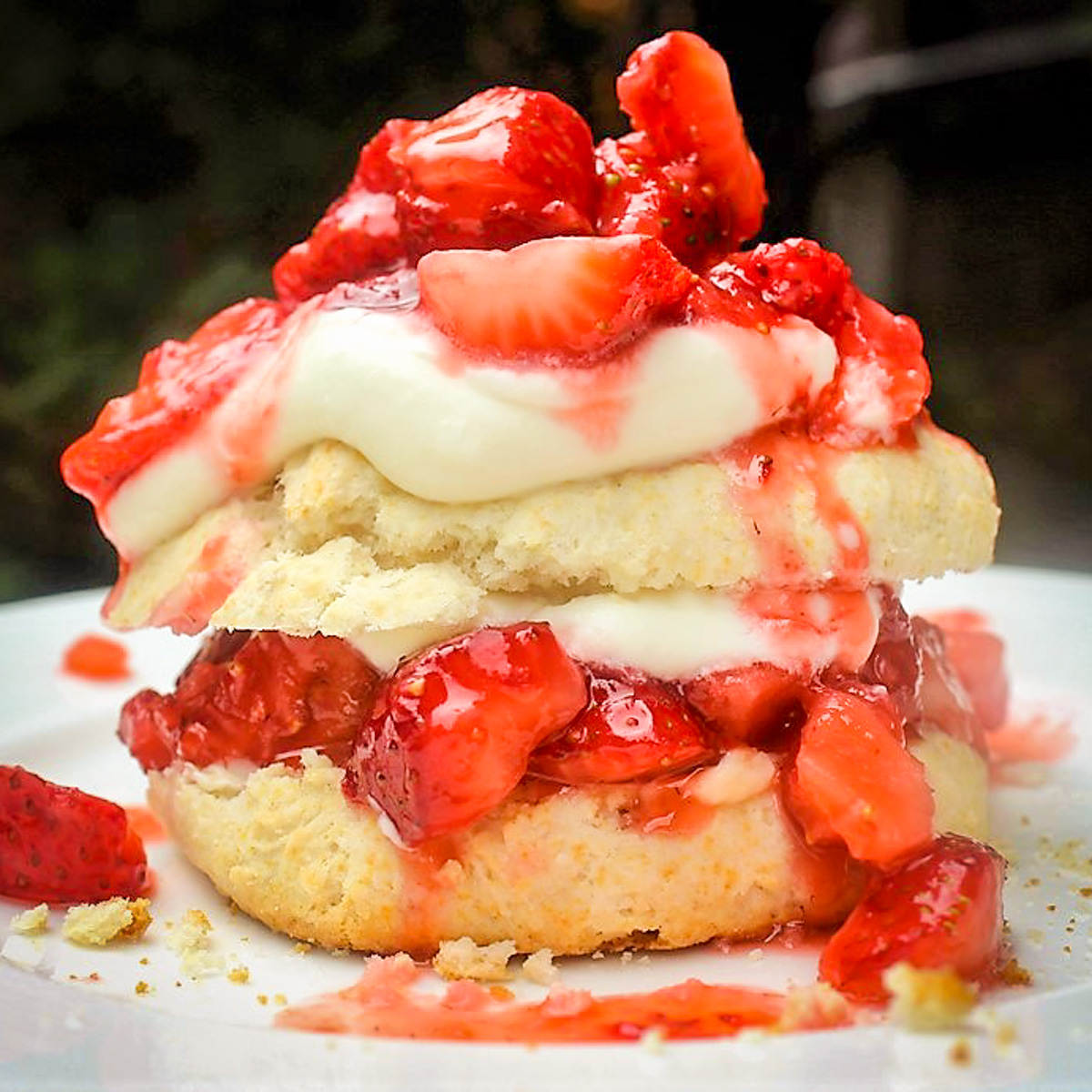 single strawberry shortcake on plate