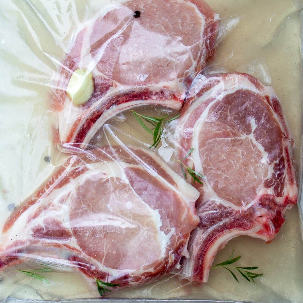 3 pork chops brining in bag