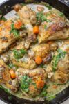 finished chicken fricassee in pan p
