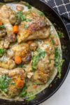 finished chicken fricassee in pan p1