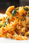 forkful of pasta with spinach tomato and cheese p