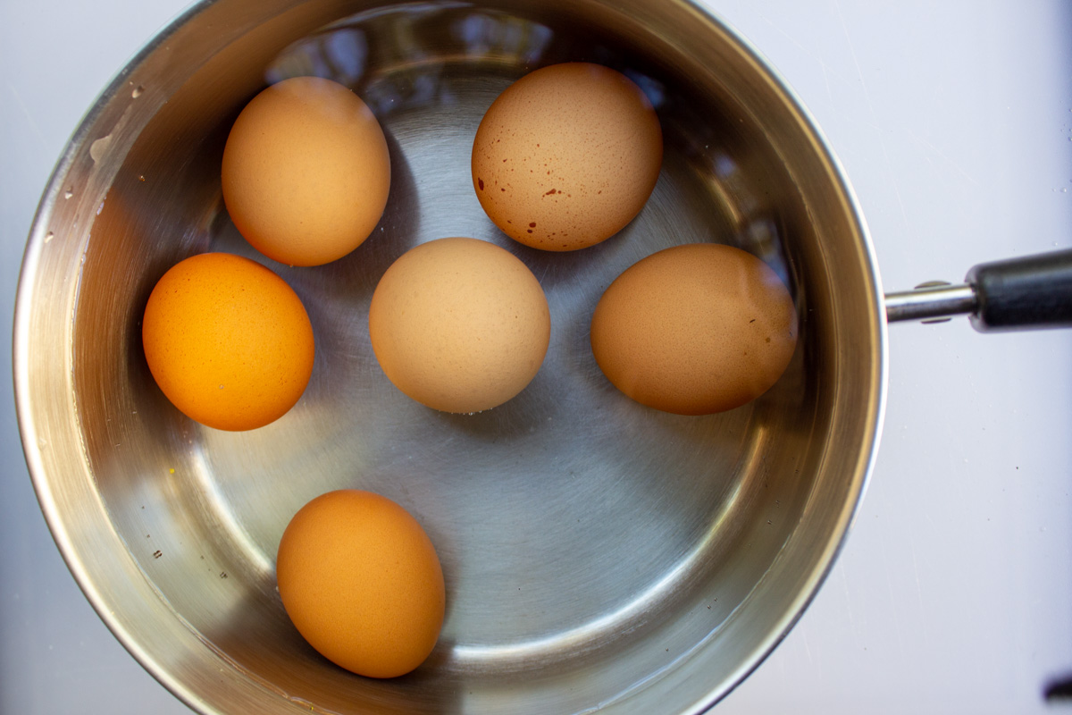 6 eggs in pot of water