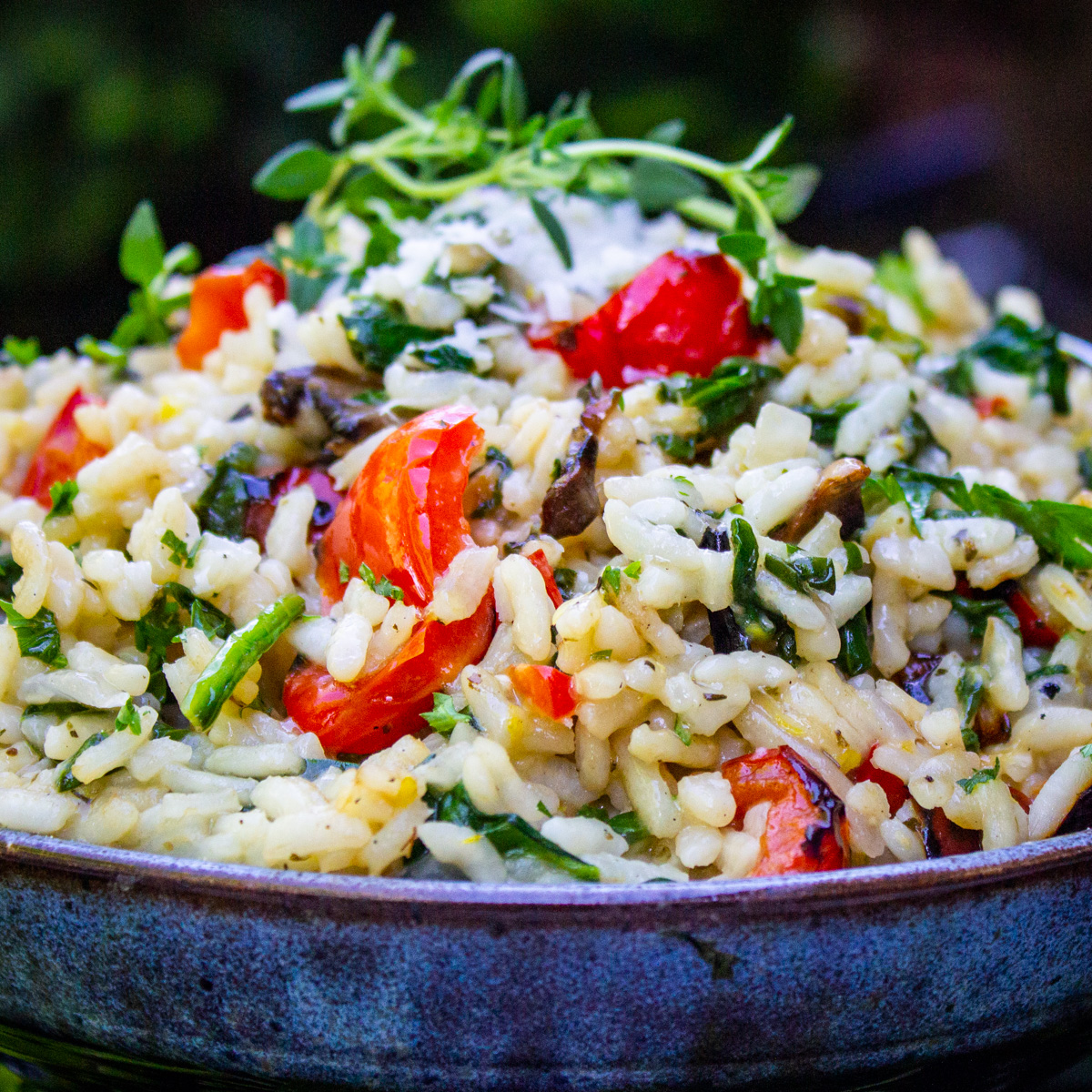 vegetable risotto in a bowl