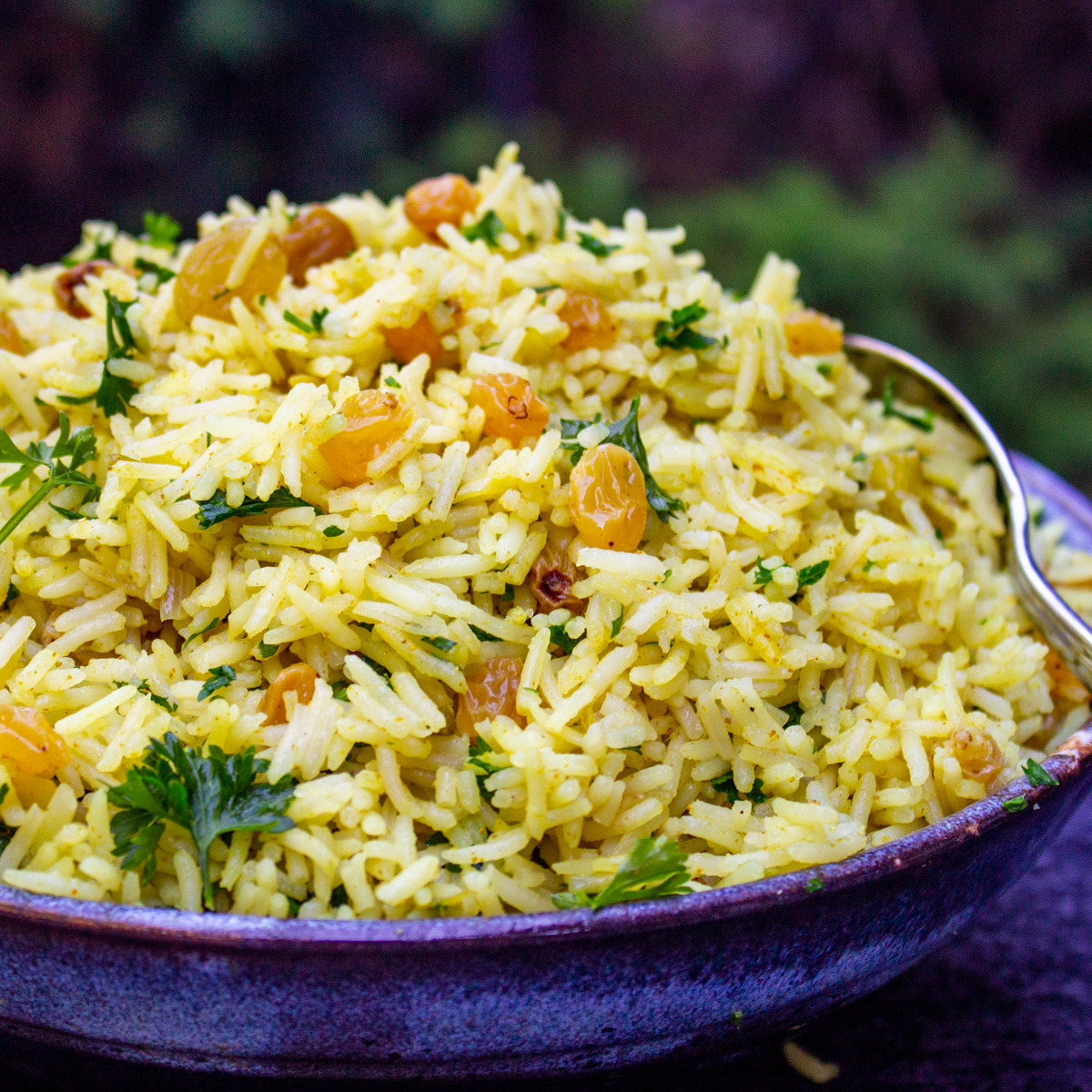 bowl of curried rice with raisins f