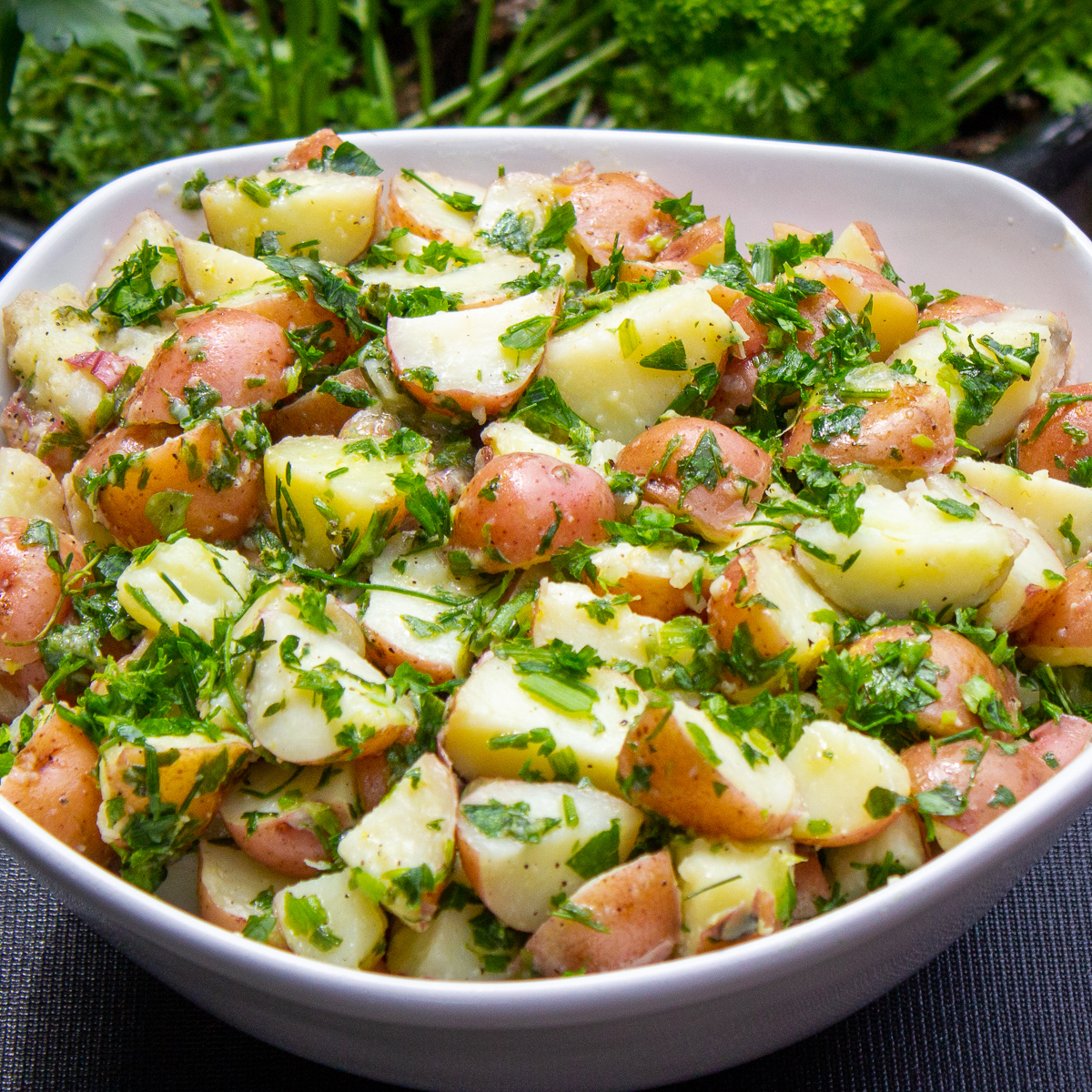 bowl of herbed potato salad in garden