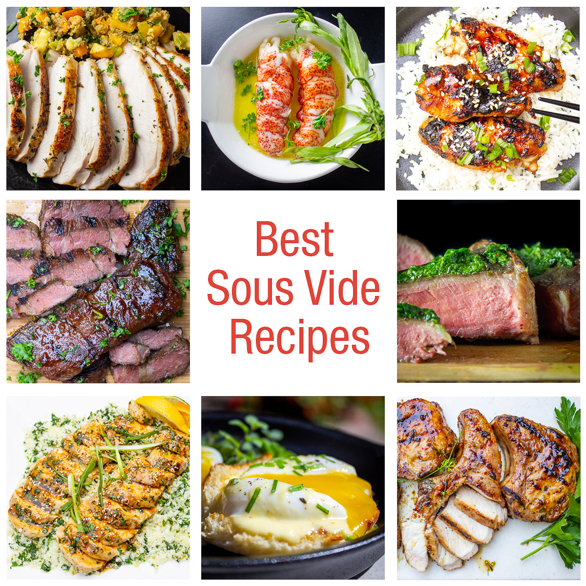 31 Best Sous Vide Recipes (with beginner tips)