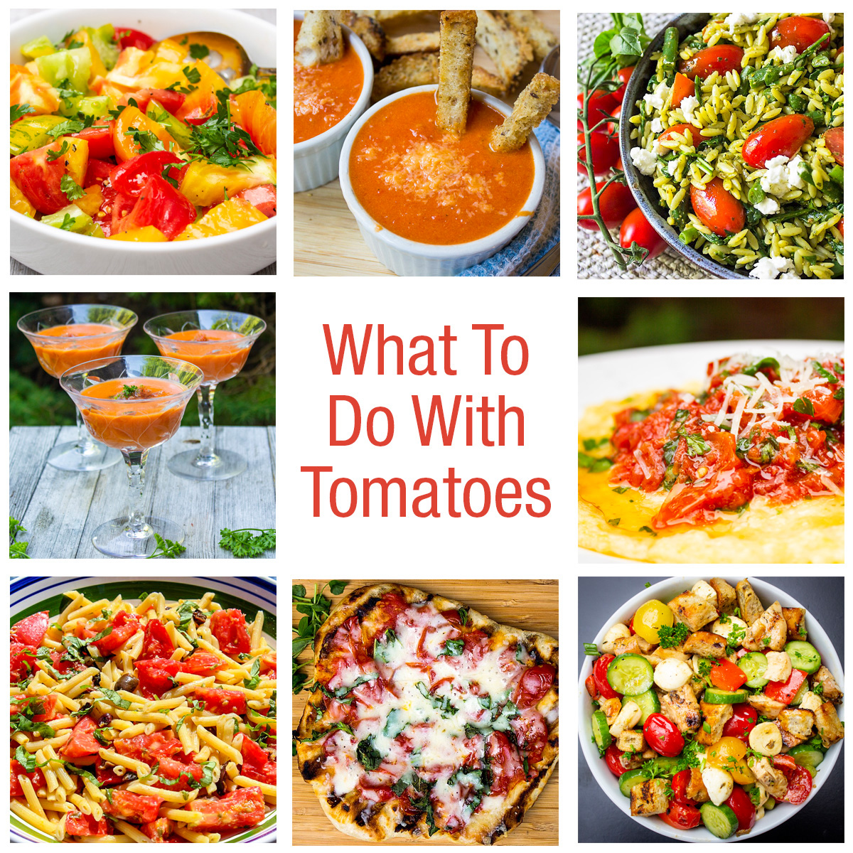 What To Do With Tomatoes 2024 (19 Recipes & Tips)