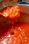 ladle of san marzano tomato sauce over pot p