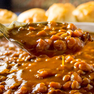 spoonful of baked beans over pot of baked beans.