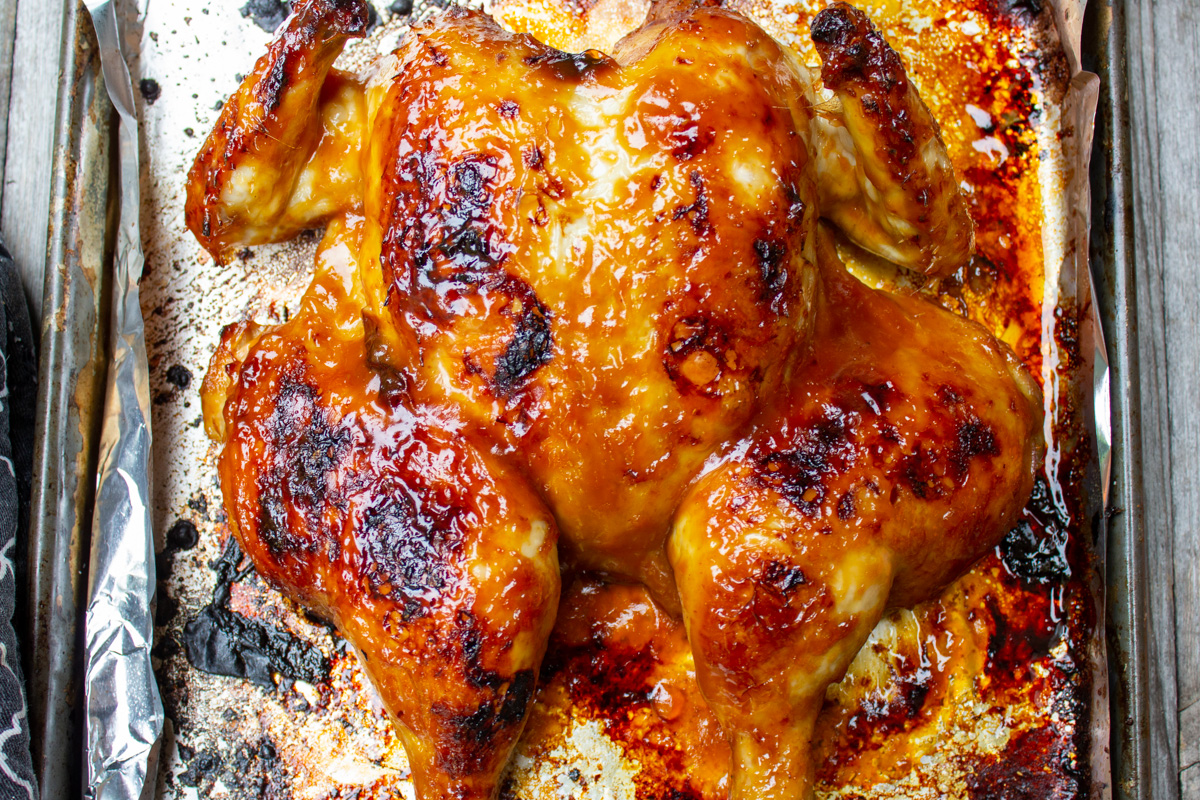 roasted butterflied chicken in pan after final broiling