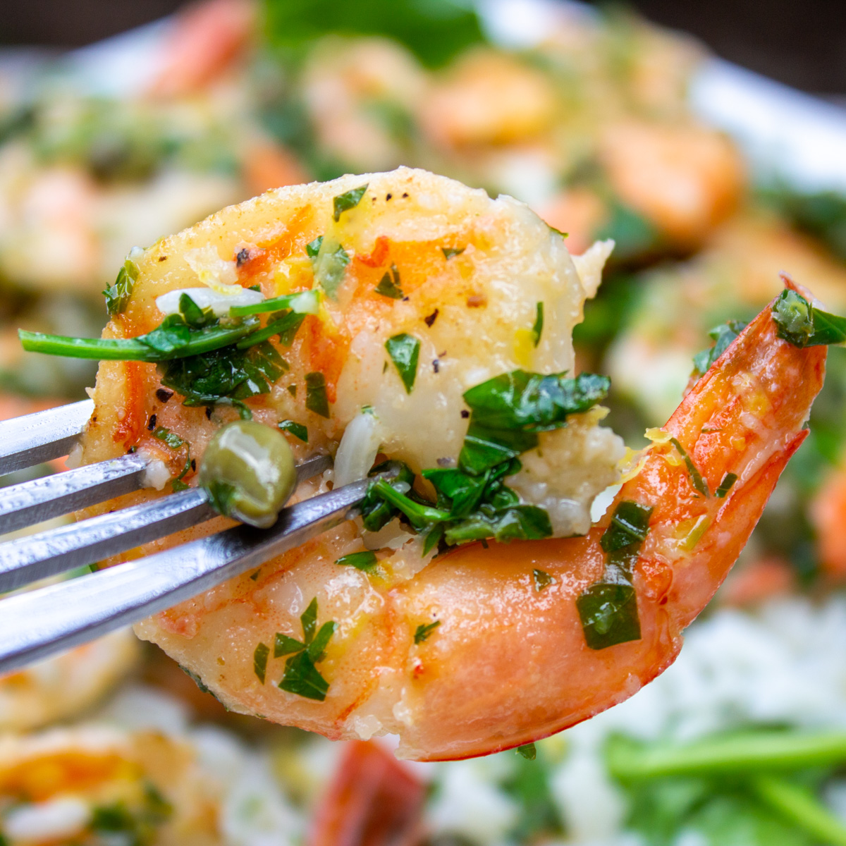 single picatta shrimp on fork.