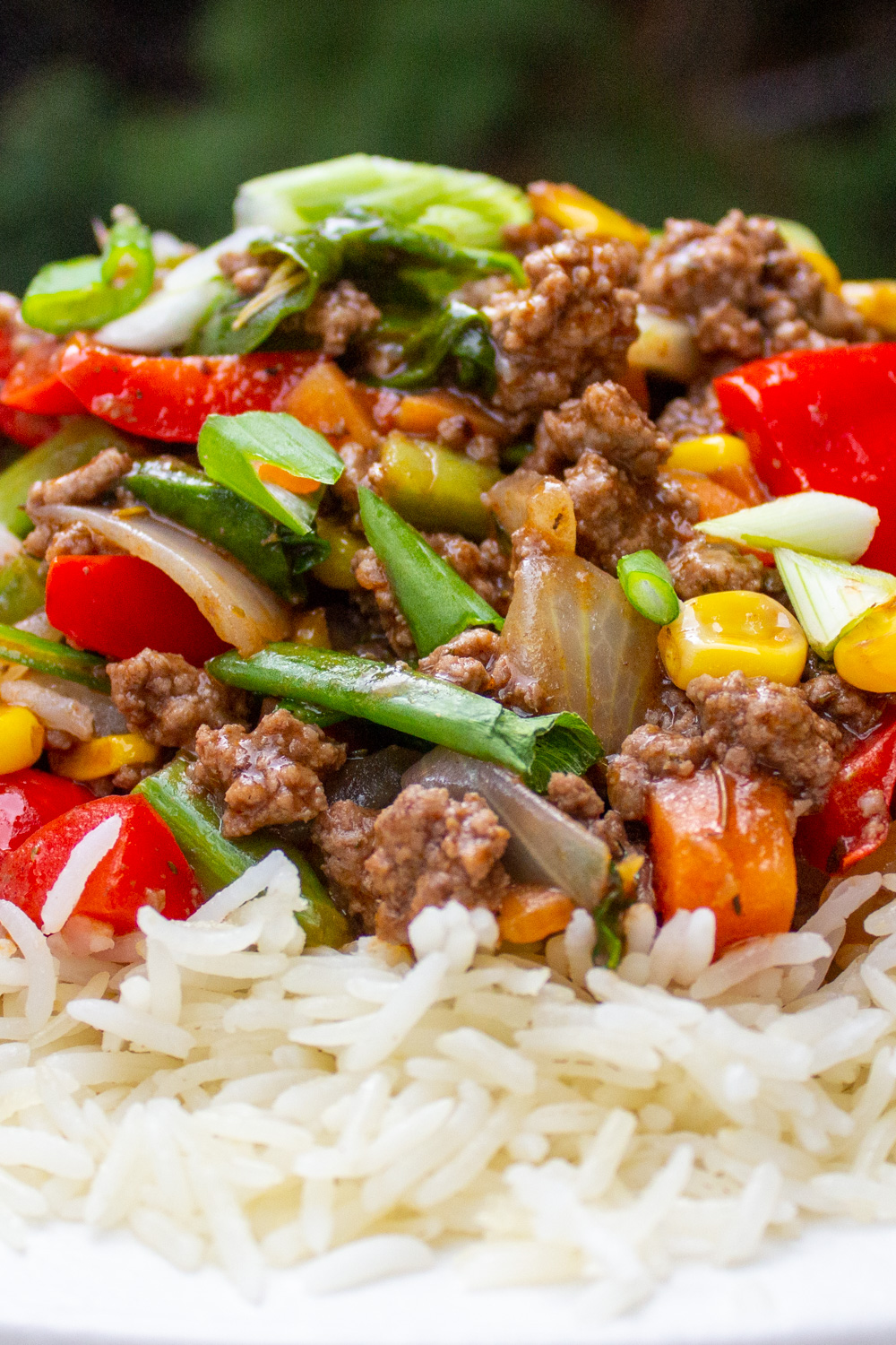 stir fry ground beef and vegetables over white rice on plate.