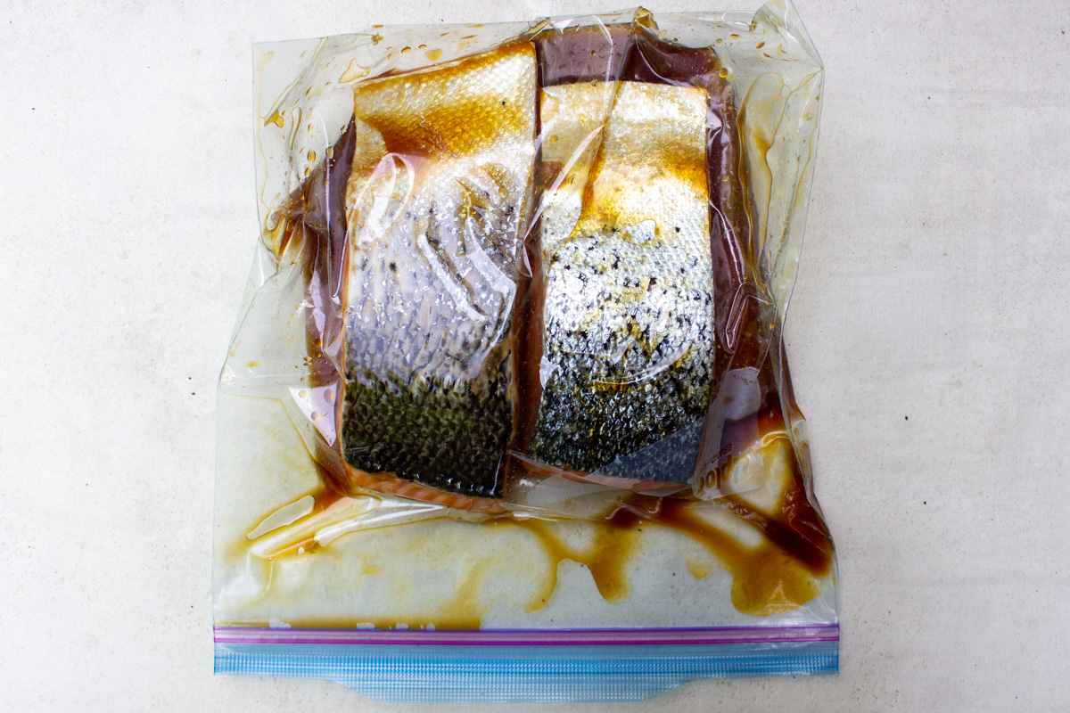salmon fillets marinating in teriyaki sauce in ziploc bag.