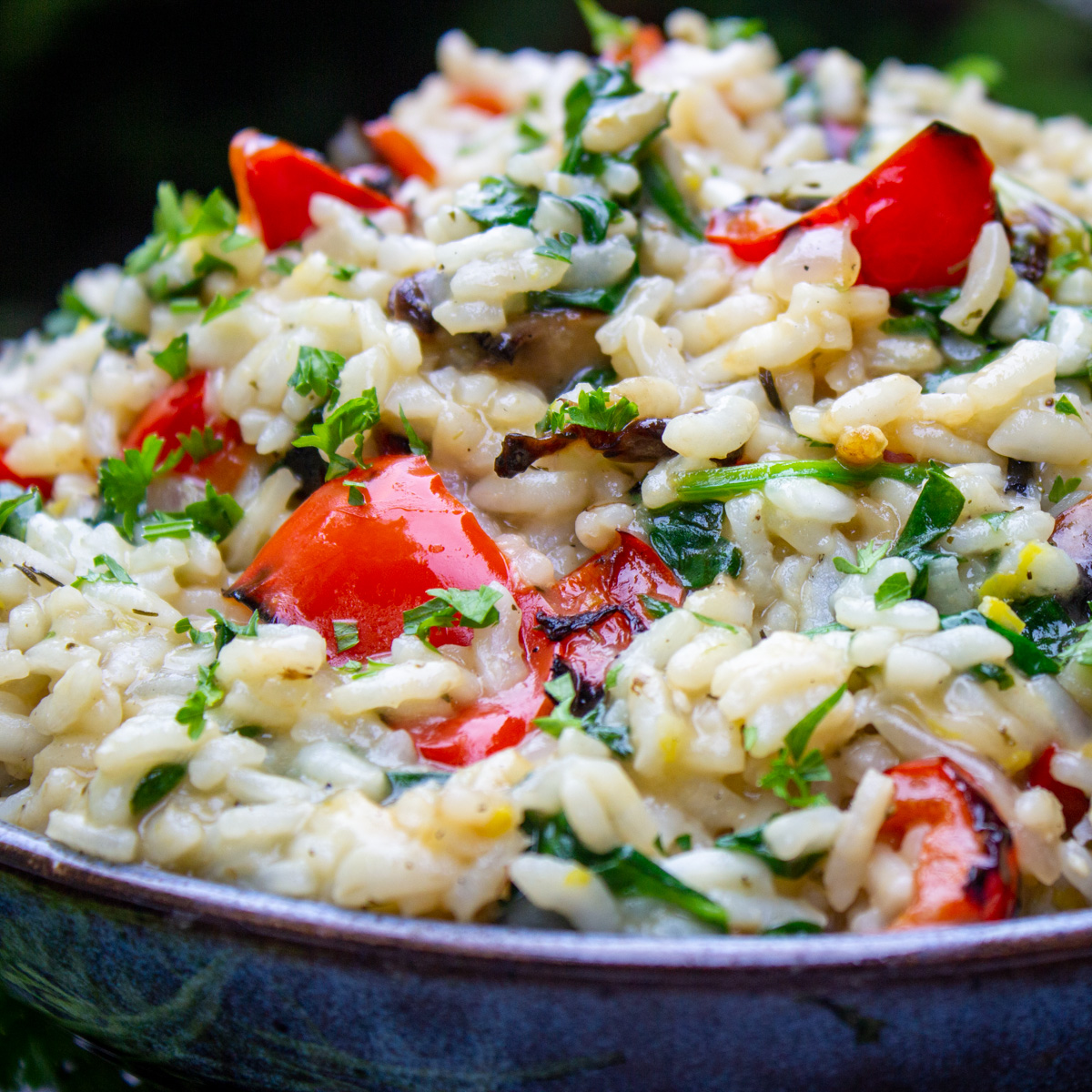 risotto with grilled vegetables in a bowl.