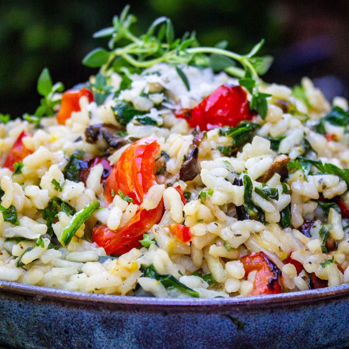 Instant Pot Risotto with Grilled Vegetables (30 Minutes)