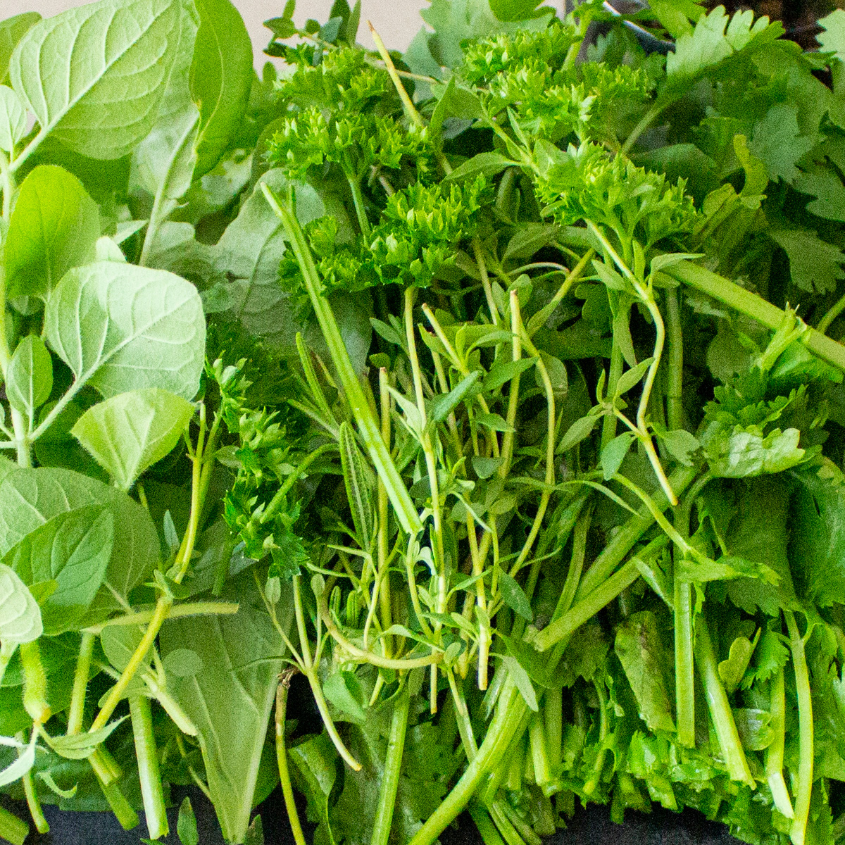 variety of fresh herbs piled on table.