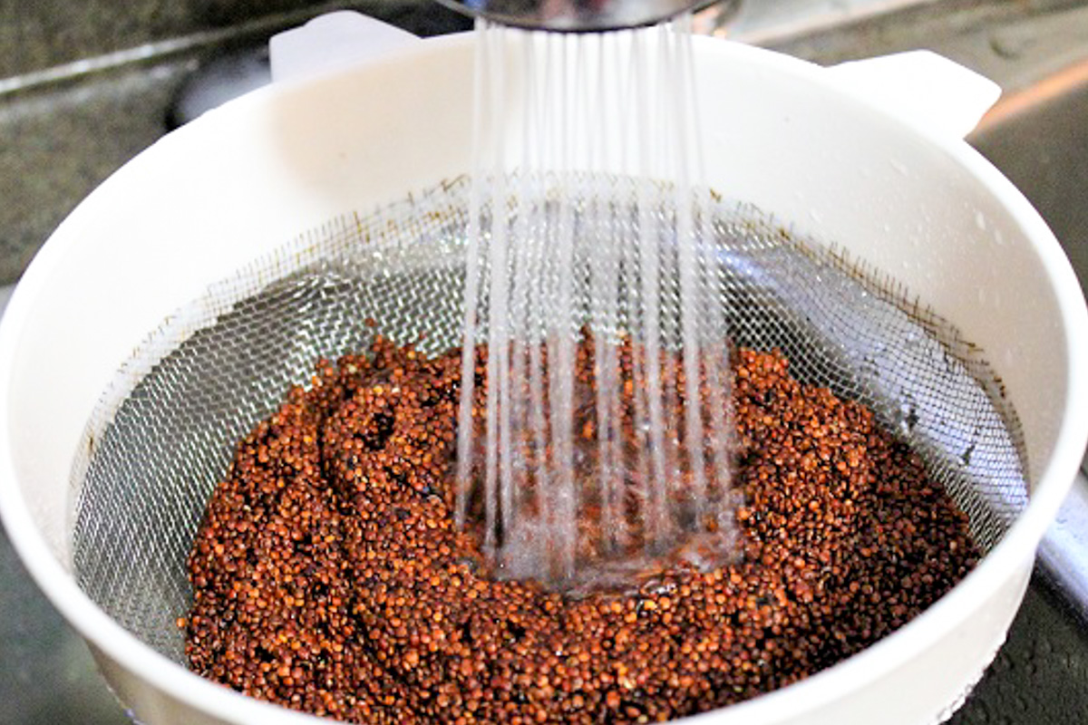 water spray rinsing red quinoa in colander. 