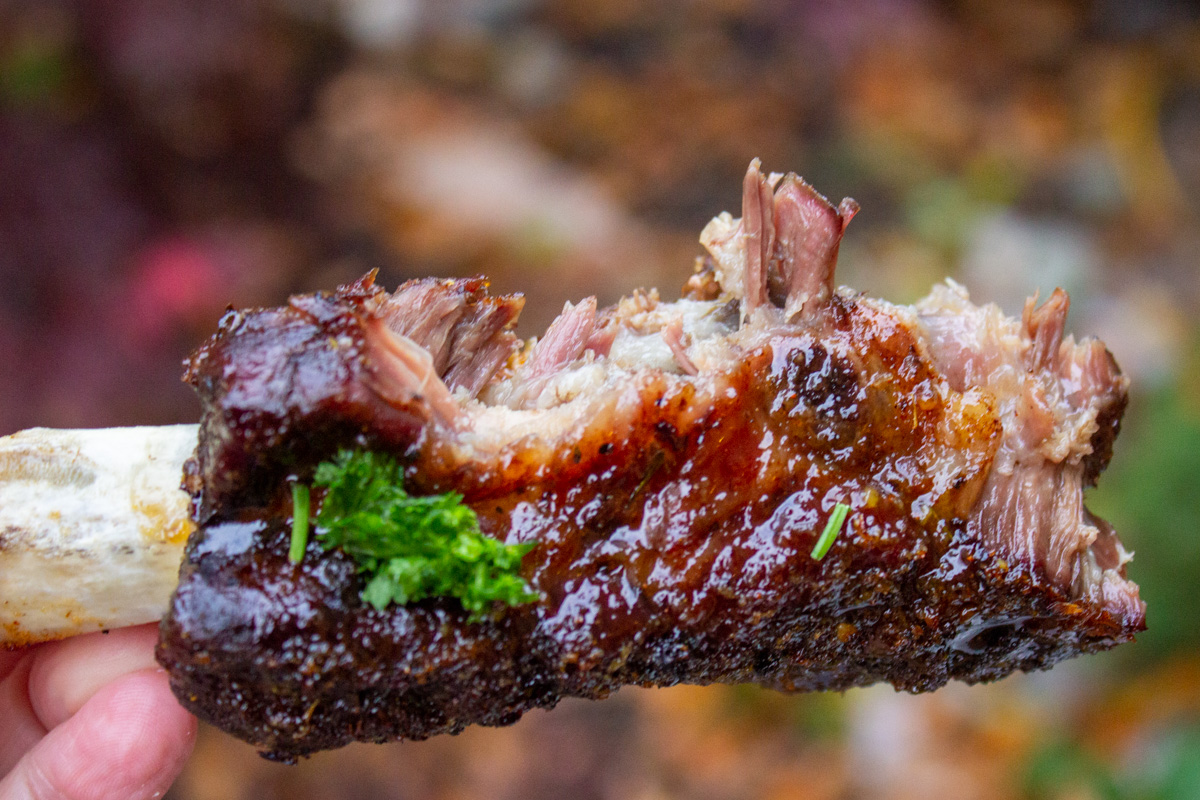 one glazed beef back rib with a bites off the middle.