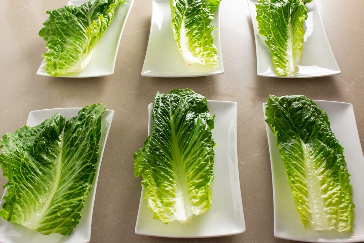 6 rectangle plates each with a romaine lettuce leaf.
