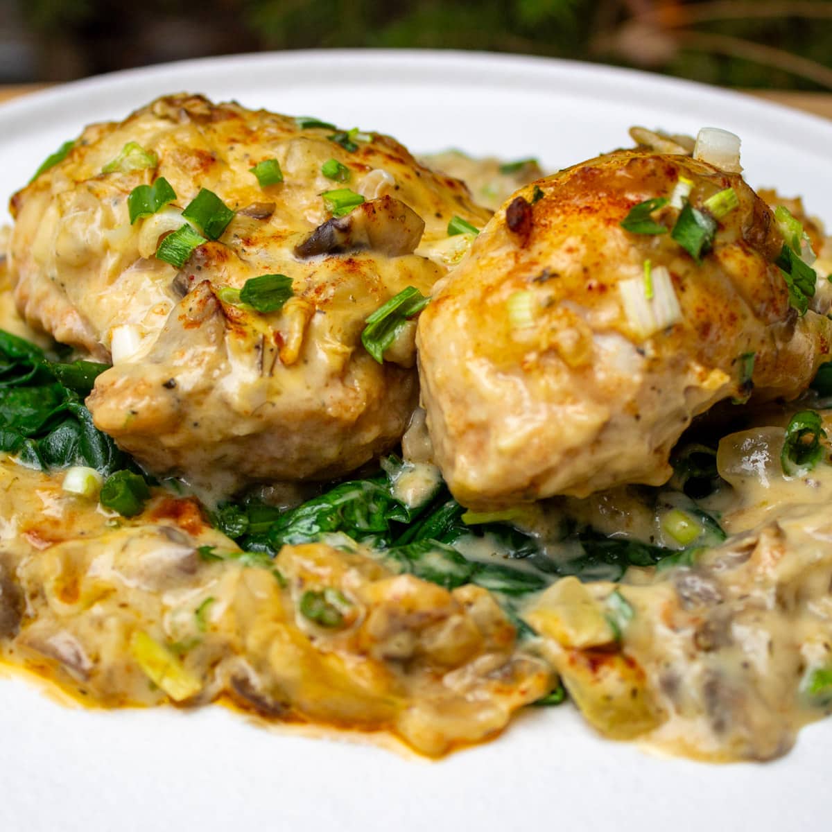chicken pieces with cream of mushroom sauce over steamed spinach on plate.