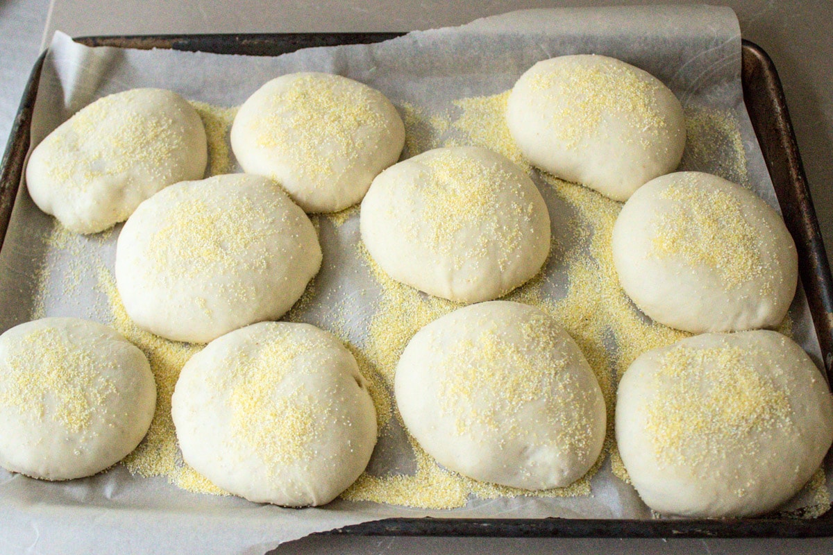disks of dough covered in cornmeal rising on parchment lined pan.