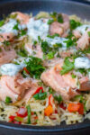 salmon chunks over veggie rice topped with dill sauce and herbs.