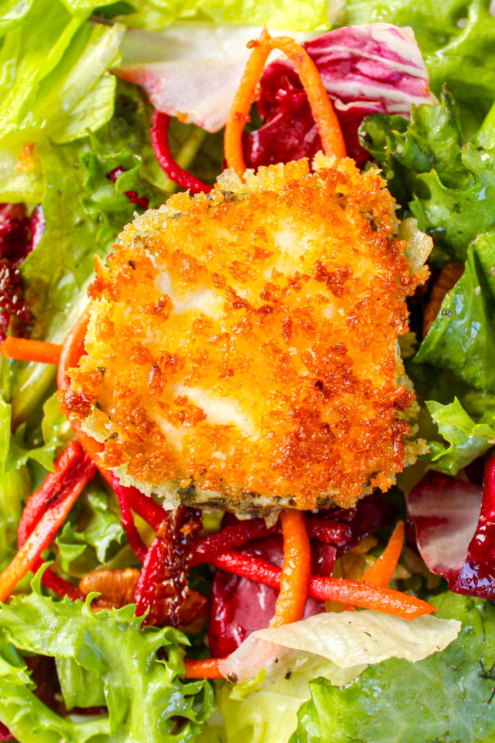 fried crusted goat cheese round on dressed.