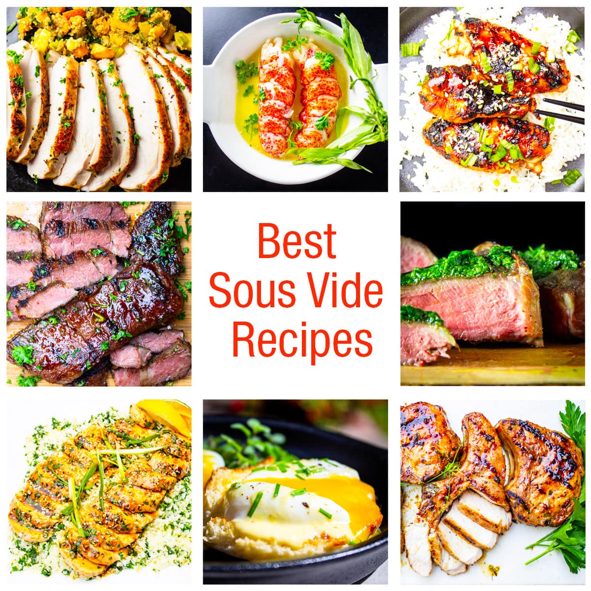31 Best Sous Vide Recipes (With Beginner Tips) 2024