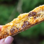one biscotti held up in two fingers.