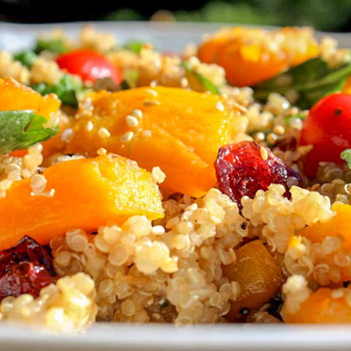 Butternut Squash Salad With Quinoa and Spinach