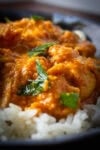 Butter chicken over white rice on plate.